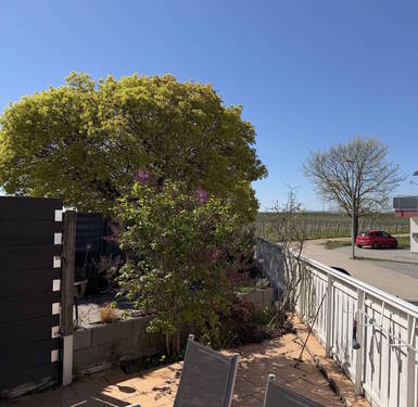 Viel Natur... - 4 Zimmer Reihenendhaus in Worms / Weinsheim