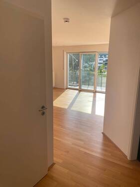 WhatsApp Image 2026-04-22 at 16.11.57 (1).jpeg - 