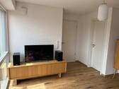 TV Wand - 