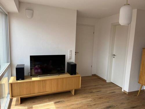 TV Wand - 