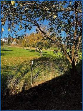Blick aus dem Garten ins Grüne - 