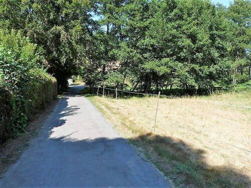 12 Weiteres Weideland.JPG - 