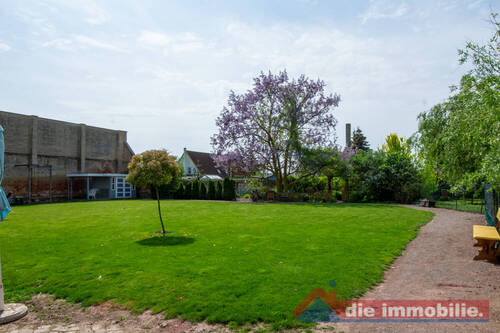 weitläufige Wiese - 