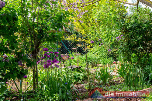 viel Grün zum Entspannen - 