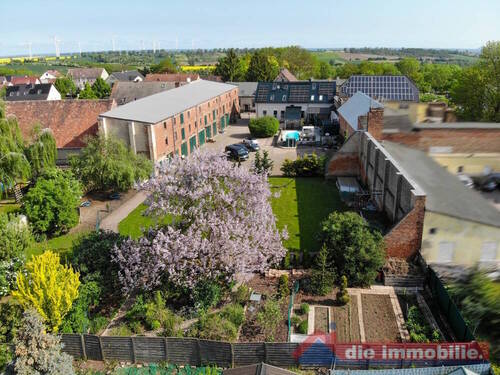 weitläufiges Grundstück - 