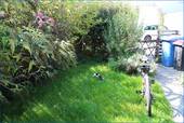 Garten Blick - 