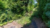 Straße - Schafalm - Einfahrt - 