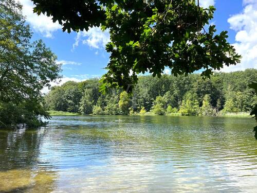 Baden im Schlachtensee - 