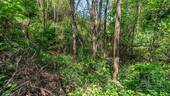 Bauplatz - Schafalm 12 - 