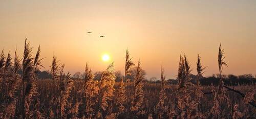 Auf dem Weg zum Meer - 