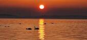 Sonnenuntergang am Meer - 
