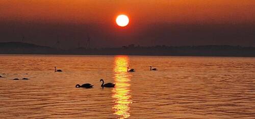 Sonnenuntergang am Meer - 