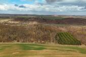 Luftaufnahme - 3,8 ha hochwertiger Laubwaldbestand
