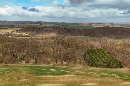 Luftaufnahme - 3,8 ha hochwertiger Laubwaldbestand
