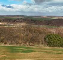3,8 ha hochwertiger Laubwaldbestand - Arnstein Stangerode