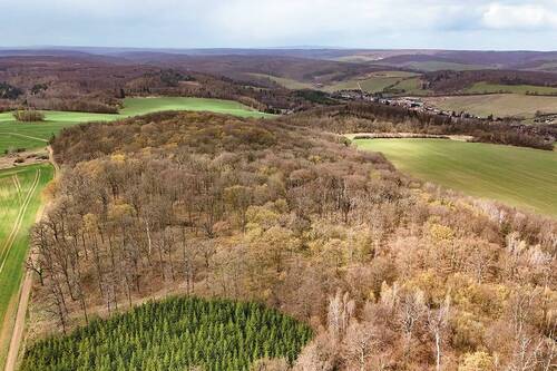 Gesamtansicht - Grundstück zum Kaufen in Arnstein