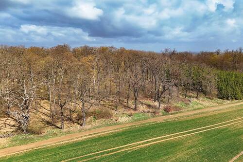Drohnenaufnahme - Grundstück in Arnstein