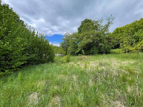 Baugrundstück - Foto 4 - 