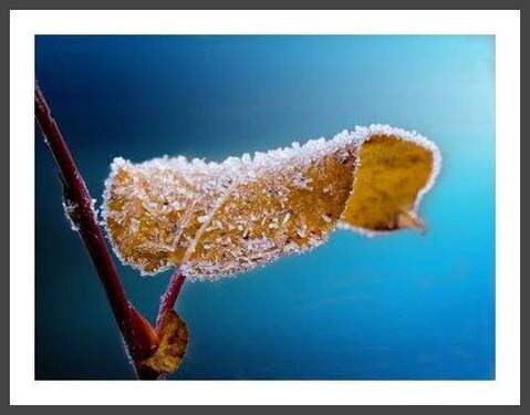 genießen Sie die Wärme Ihrer Handtücher ;)) - 