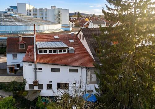 Ausblick - 