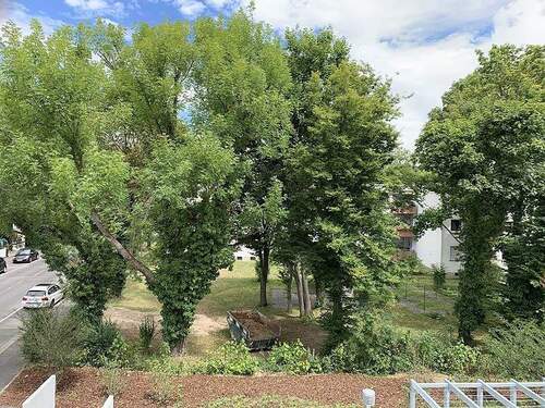 ... Blick ins Grüne - 