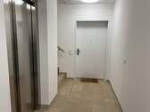 Treppenhaus mit Aufzug - 3 Zimmer Etagenwohnung in Wiesbaden