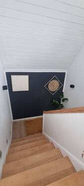 Neu3.JPG - 