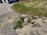 Wasseranschluss Marktstr. 21 - 