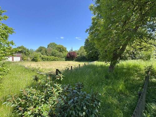 Blick von der Westseite - 