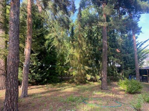 Grundstück Nordausrichtung - Grundstück mit großem Baufeld für eine Wohnfläche bis zu ca. 251 m² Wohnfläche