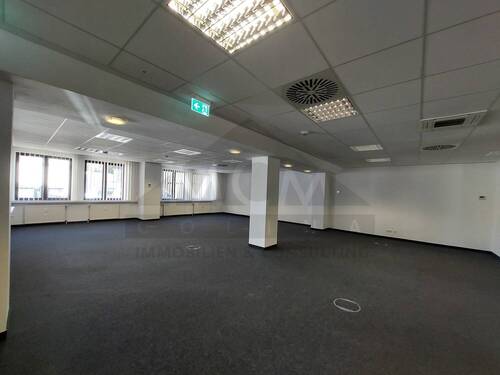 Verkaufsraum - Gewerbeobjekt (Büro, Produktion, Verkauf) in Frankfurt am Main zur Miete