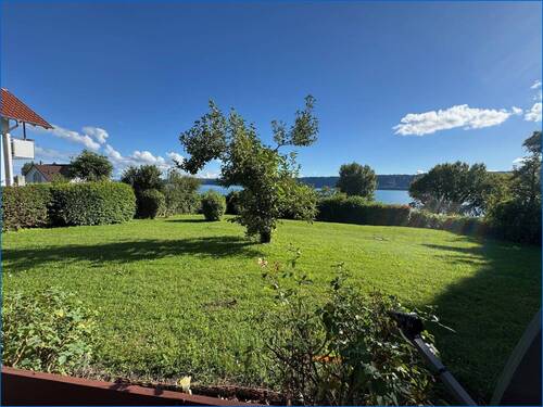 Gemeinschaftsgarten - 