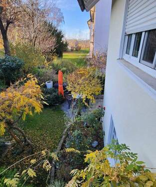 Blick in Nachbars-Garten - 