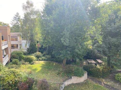 Blick in den Garten - 