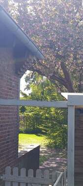 Richtung Garten - Einfamilienhaus mit 84,00 m&sup2; in Husum zum Kaufen