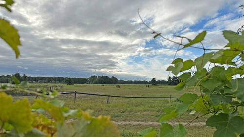 Ausblick - 