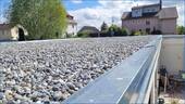 Dach Neu 2025 - 