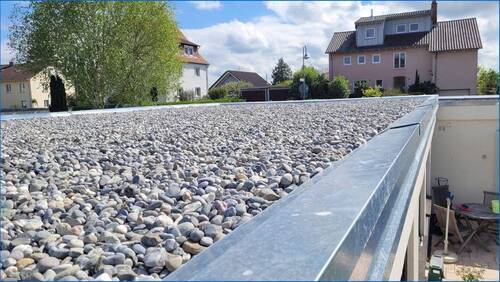 Dach Neu 2025 - 