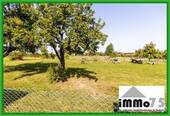 Blick vom hinteren Garten - 