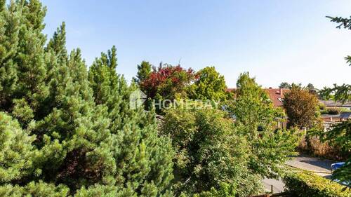 Ausblick - 