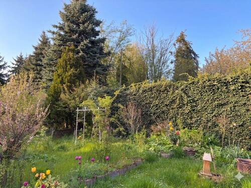 Garten - 