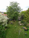 Gemeinschaftsgarten - 