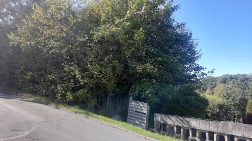 Straßenansicht - Grundstück zum Kaufen in Waldbröl