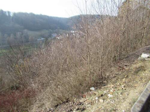 Grundstück - Grundstück zum Kaufen in Horb am Neckar