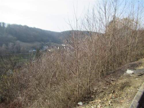 Grundstück - Grundstück in Horb am Neckar zum Kaufen