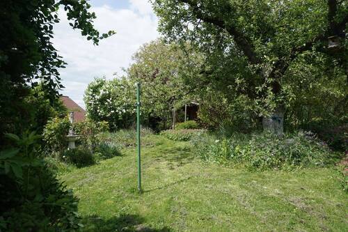 wunderschönes Gartengrundstück.JPG - 