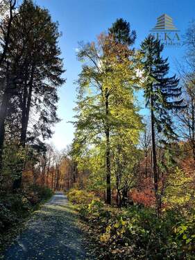 Zufahrt Bsp. - Freizeitgrundstück mit kleinem Gebäude und Gartenhaus in Tiefenbach