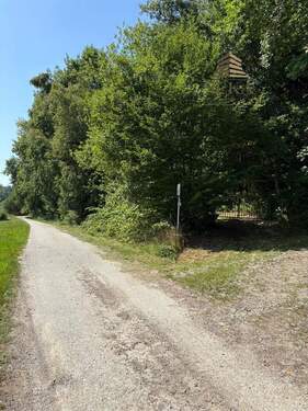 Zufahrt - Grundstück zum Kaufen in Tiefenbach