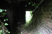Bild 8 - 
