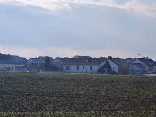 Bild 3 - 6 Zimmer Einfamilienhaus in Buchhofen